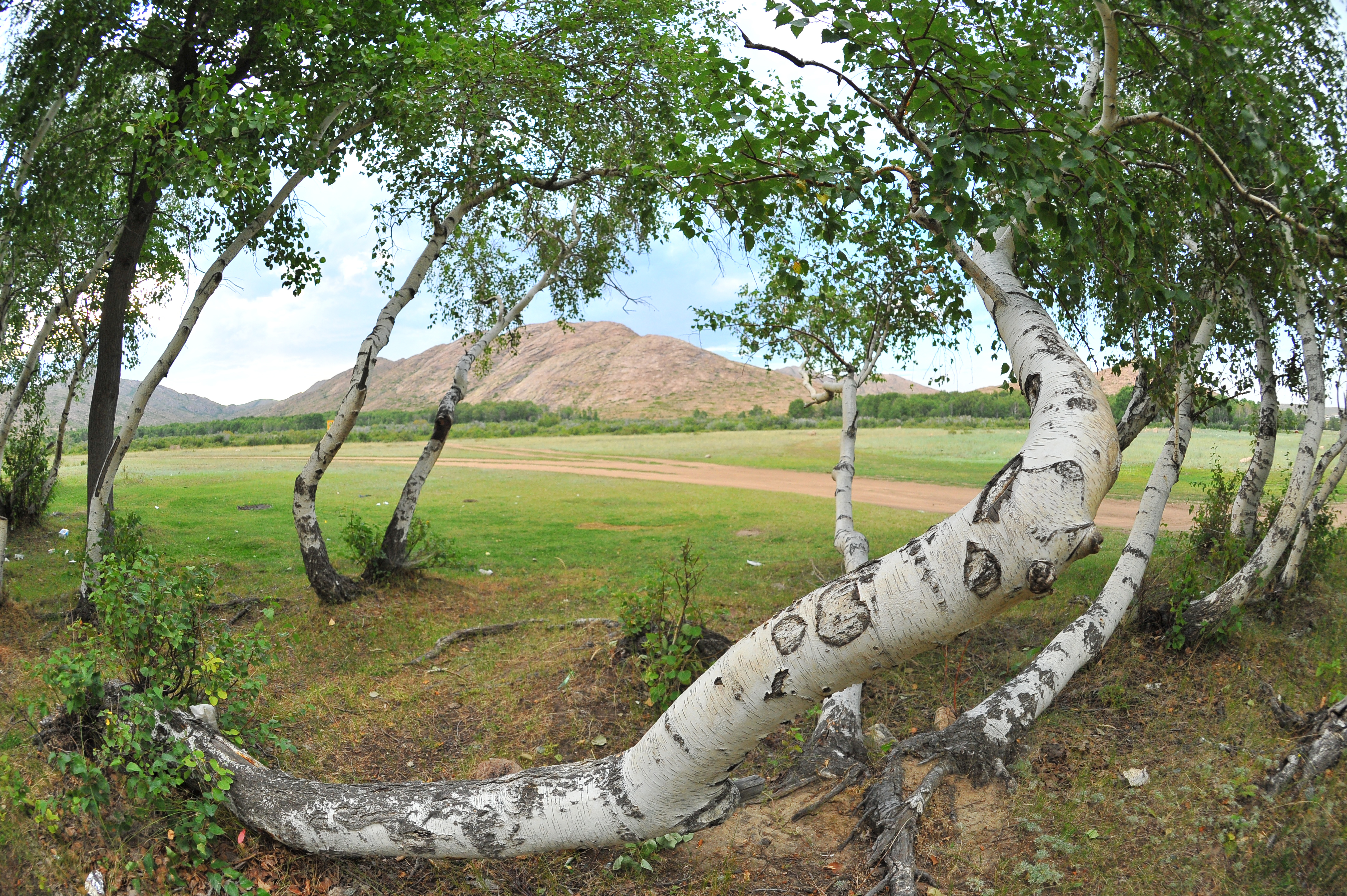 اقىندار الاشا حان مەن جوشى حاندى جىرلايدى