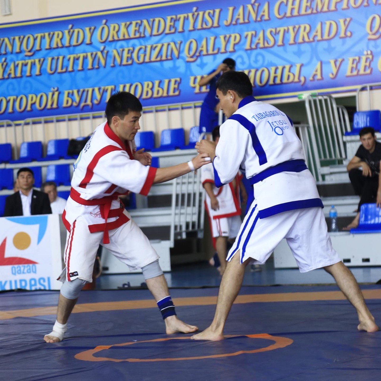 مەملەكەتتىك قىزمەتكەرلەر سايىسقا ءتۇستى