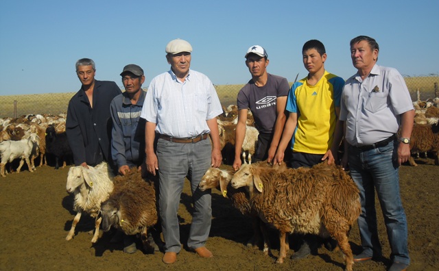 اتا كاسىپكە ادالدىق ازايدى