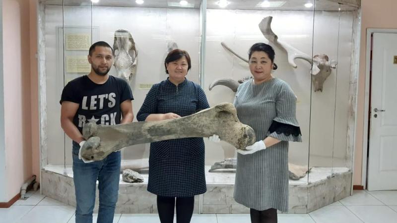 جادىگەرلەر – 3D فورماتتا