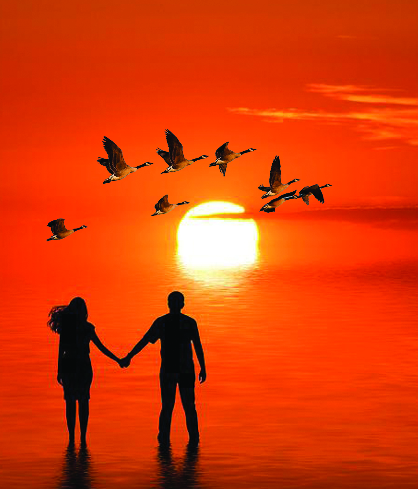 قۇستار قايتىپ بارادى