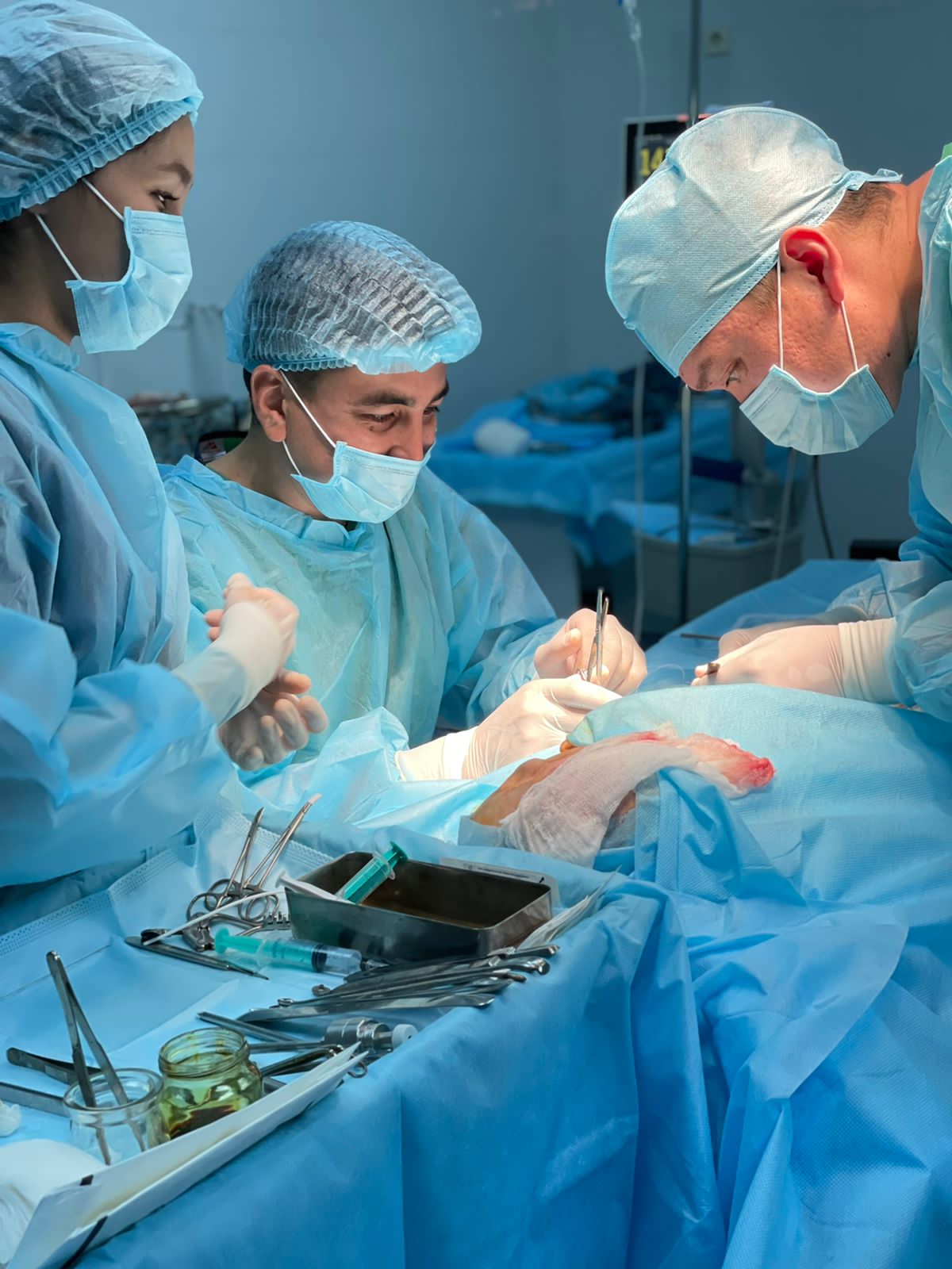 كۇردەلى وپەراتسيا جاساۋدى قولعا الدى