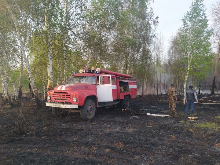 قورشاعان ورتاعا قاۋىپ توندىرەدى