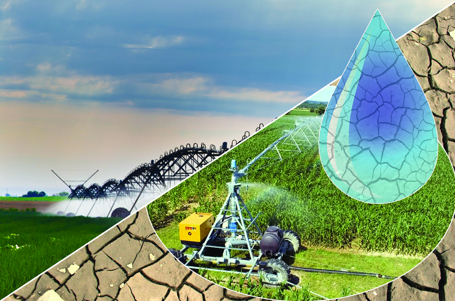 شىعىنعا باتقان شارۋالاردىڭ ماسەلەسىن كىم شەشەدى؟