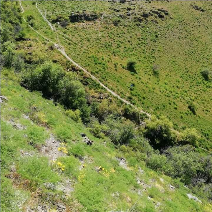 بەرىكقارا شاتقالىنداعى بايلىق