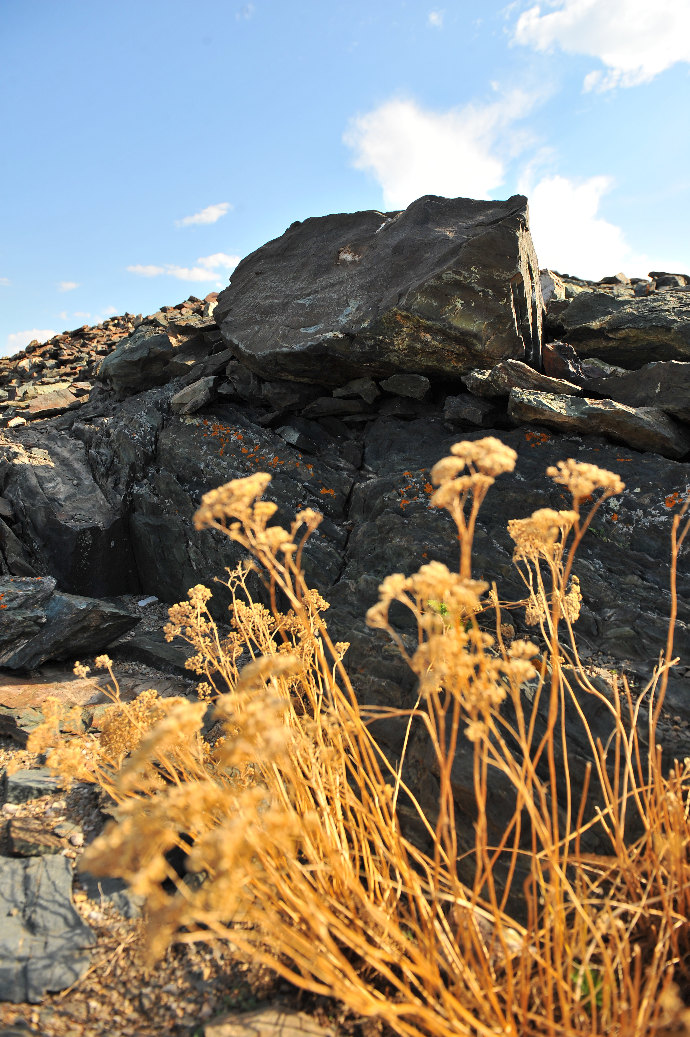 ارقانىڭ ارقارى دا اۋىپ كەتكەن...