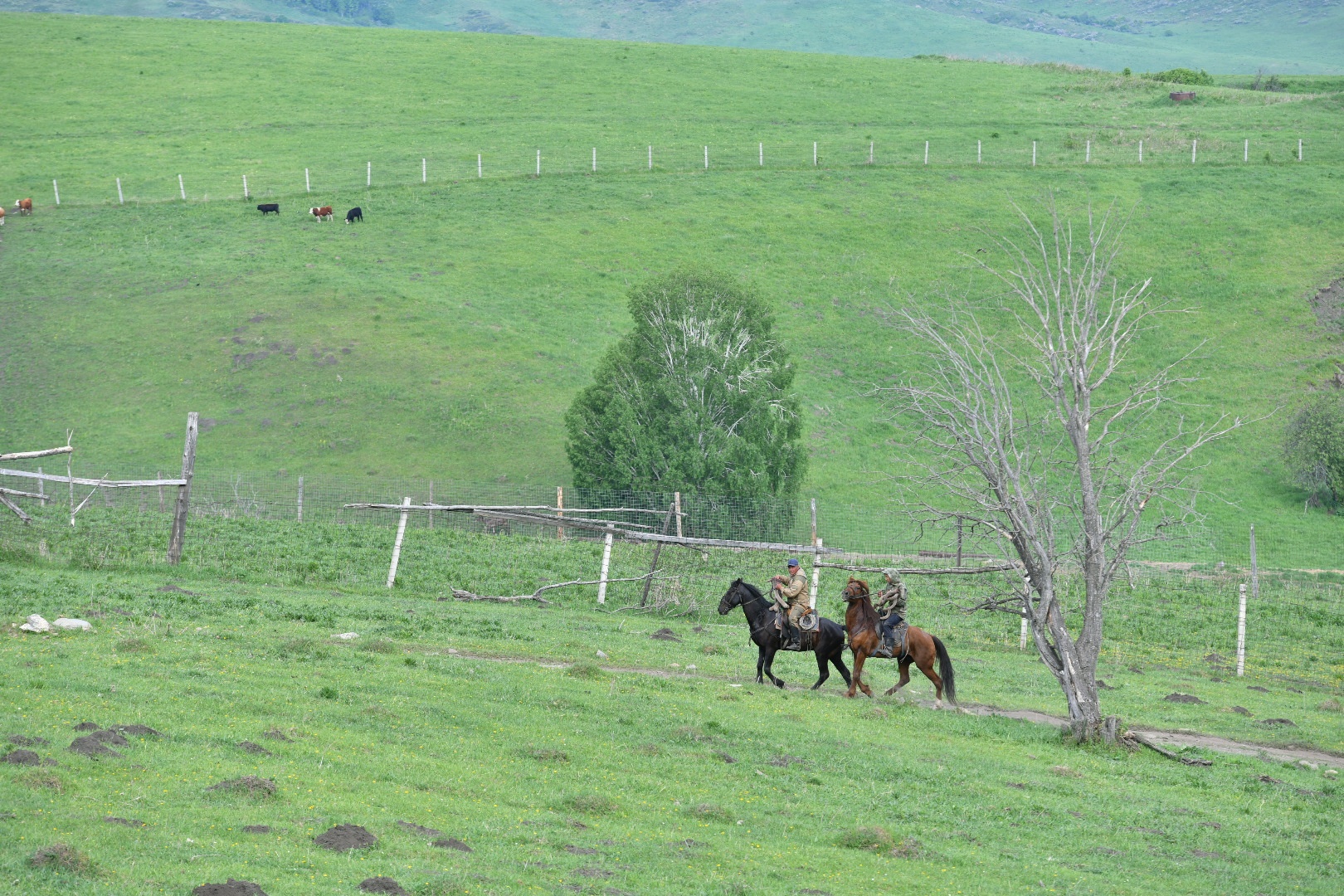 1,1 ملن گەكتار جەر قايتارىلدى
