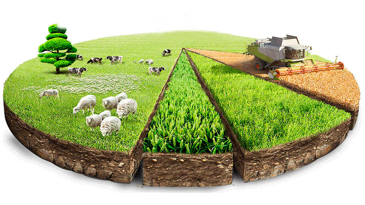 ەگىستىككە ەسى كەتكەندەر شابىندىق پەن جايىلىمدارعا قول سالىپ جاتىر