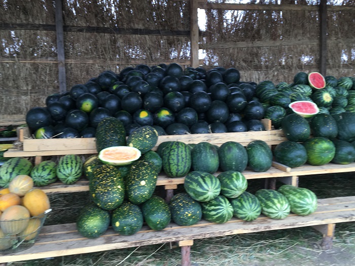 تەرىسكەيدىڭ ءتاتتى قاربىزى