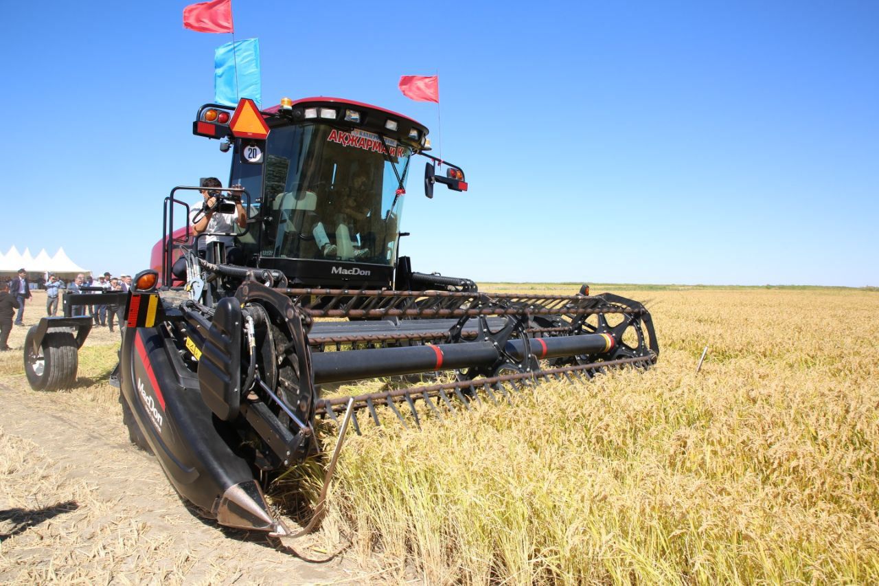 سىردا كۇرىش القاپتارى ازايدى