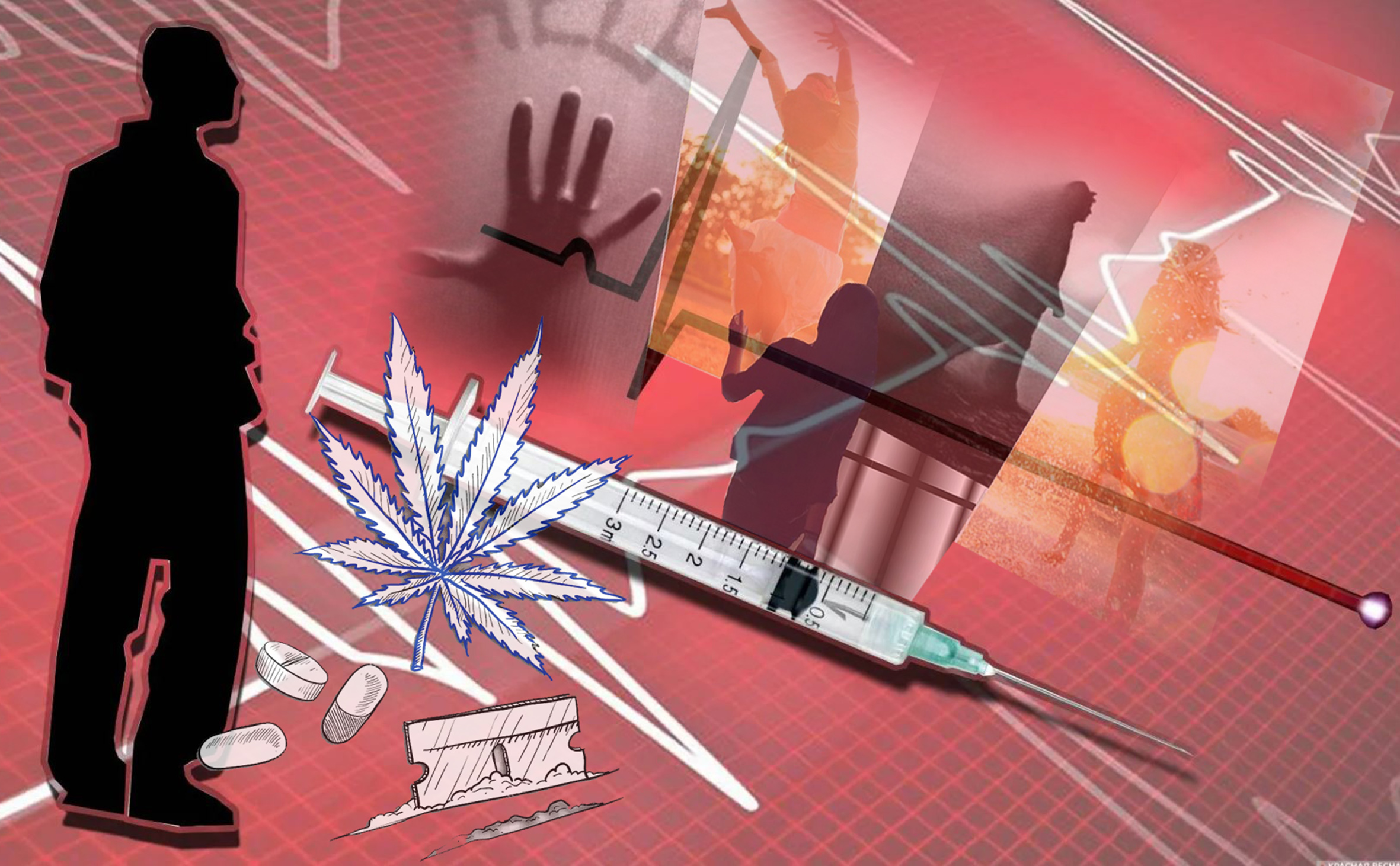 قوعام دەرتىنە اينالعان ناشاقورلىق