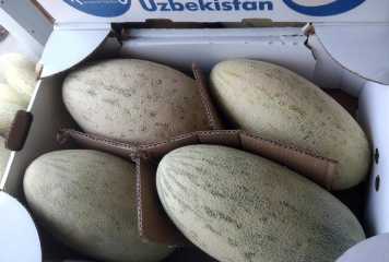 «جالعان» قاۋىن