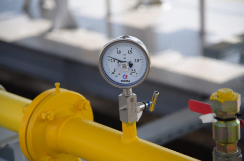 اقمولاعا كوگىلدىر وتىن كەلدى