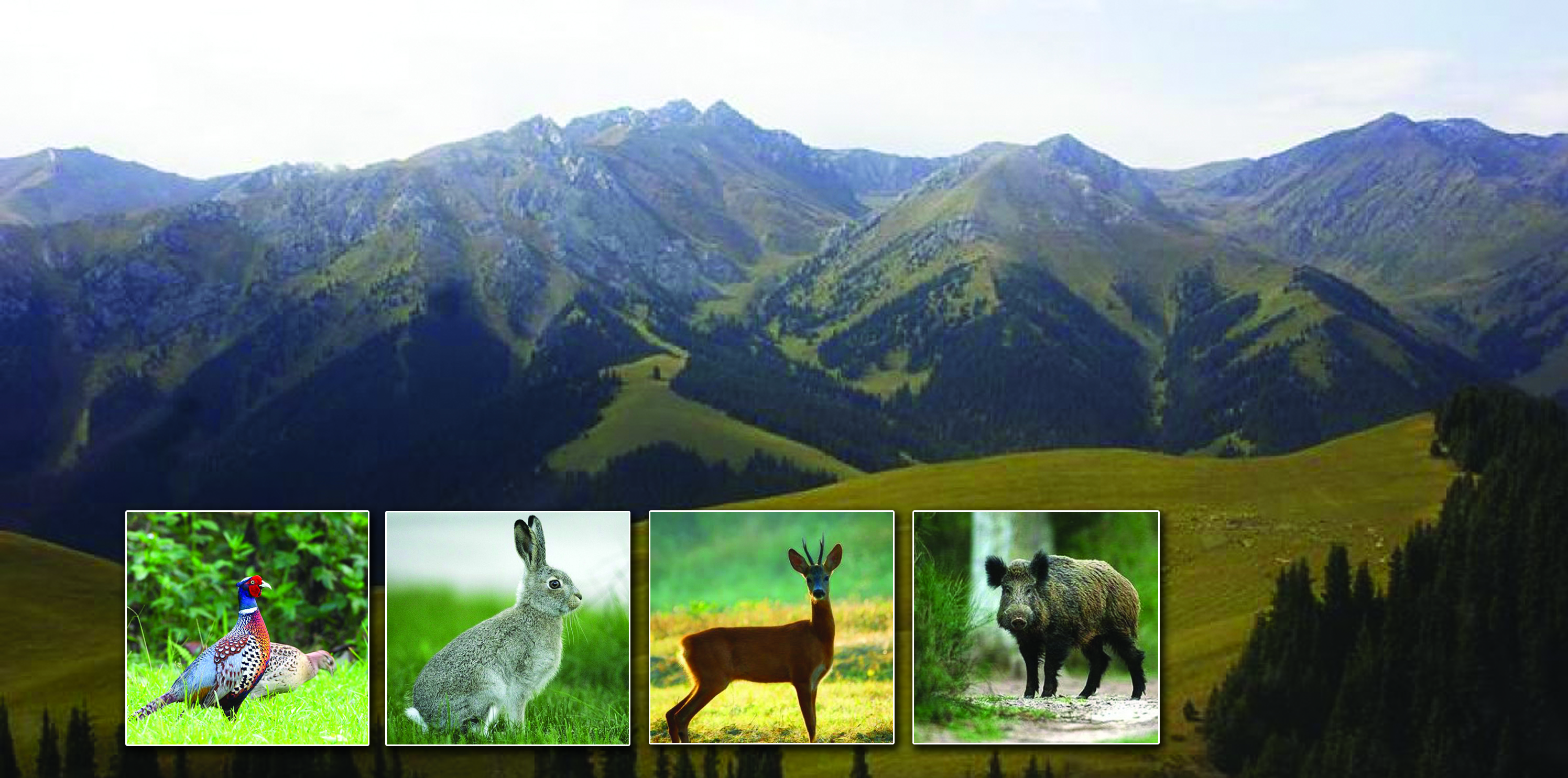 قاۋمالدار جانۋارلارعا قورعان بولادى