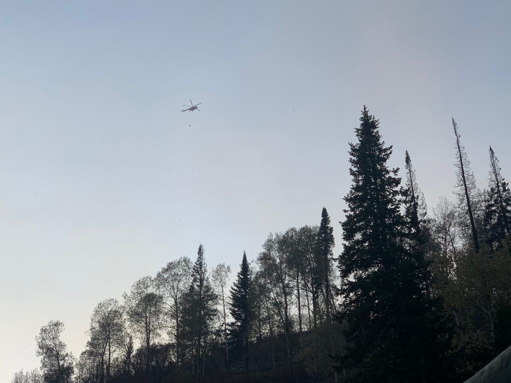 ورتكە وراندى اينالا