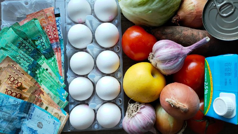 باعانى تۇراقتاندىرۋدىڭ جاڭا تەتىكتەرى ازىرلەندى