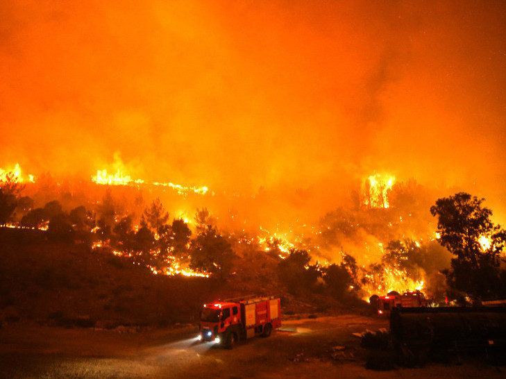 تۇركيانىڭ وڭتۇستىگىندە ورمان ءورتى ءورشىدى