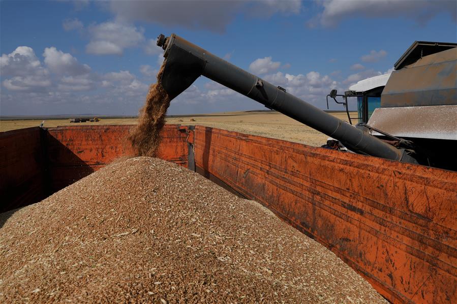 ەل ءۇمىتى – ەگىندە