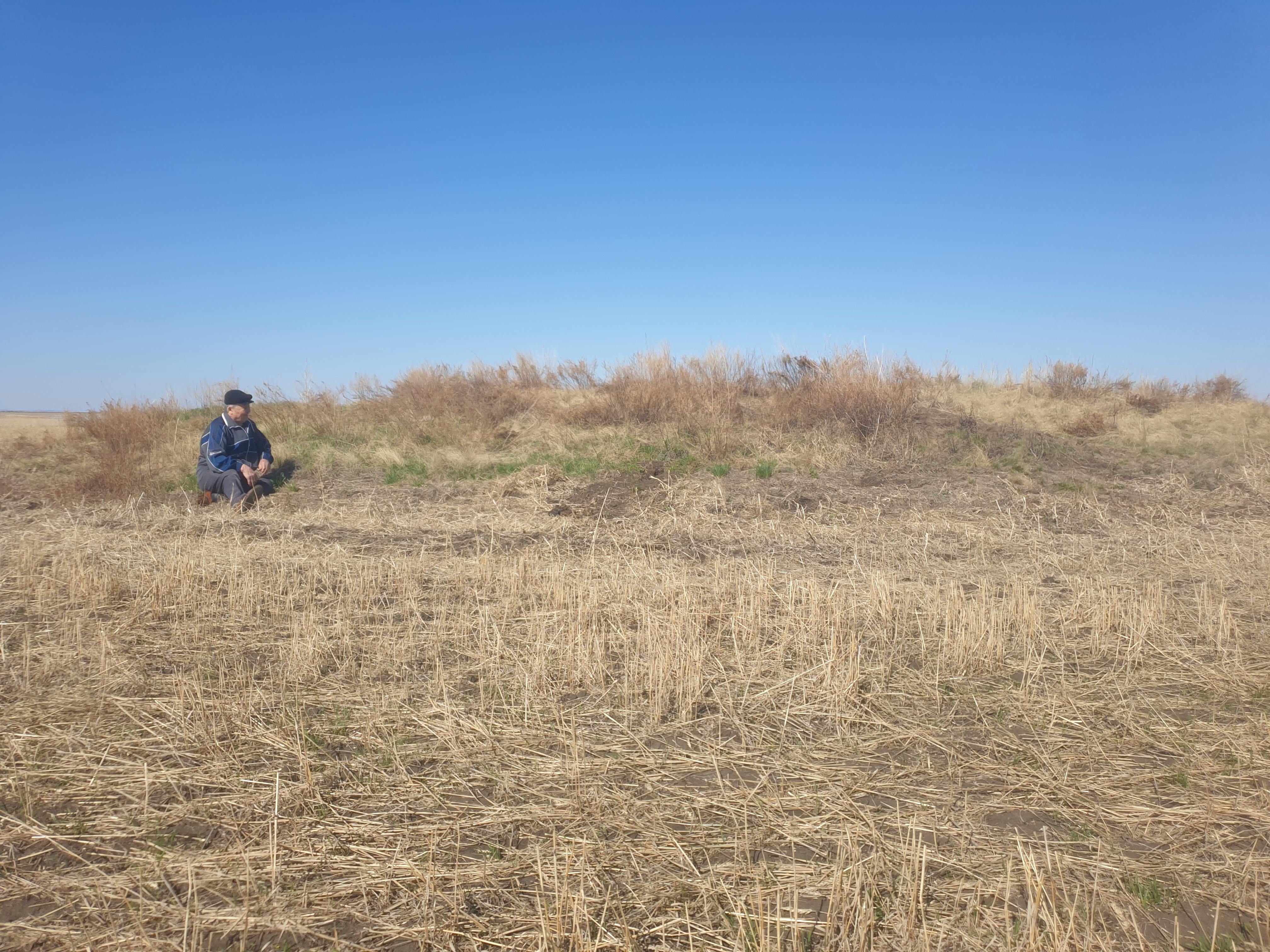 دۇرەن انا وباسى
