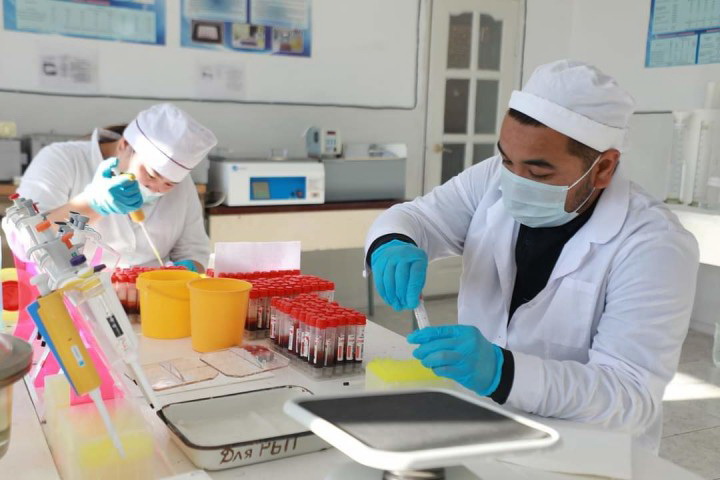 شالعاي اۋىلداردىڭ شىرايى كىرەدى