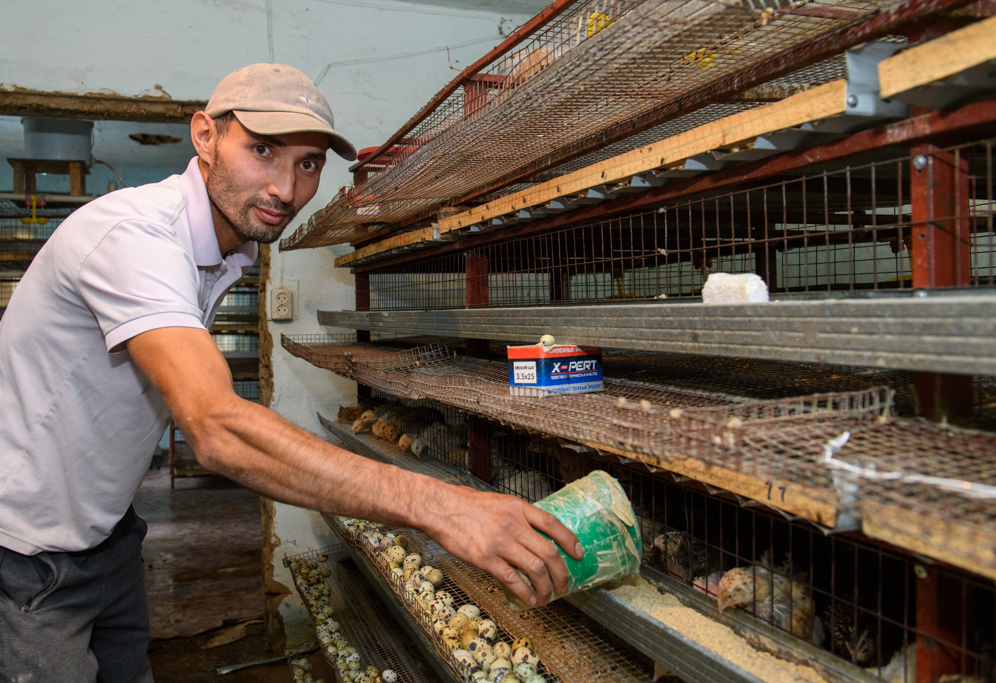 بودەنەمەن شارۋاسىن دوڭگەلەتكەن