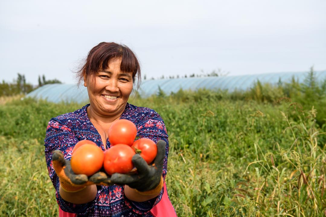 كوكونىسپەن كوركەيگەن كاسىپكەر