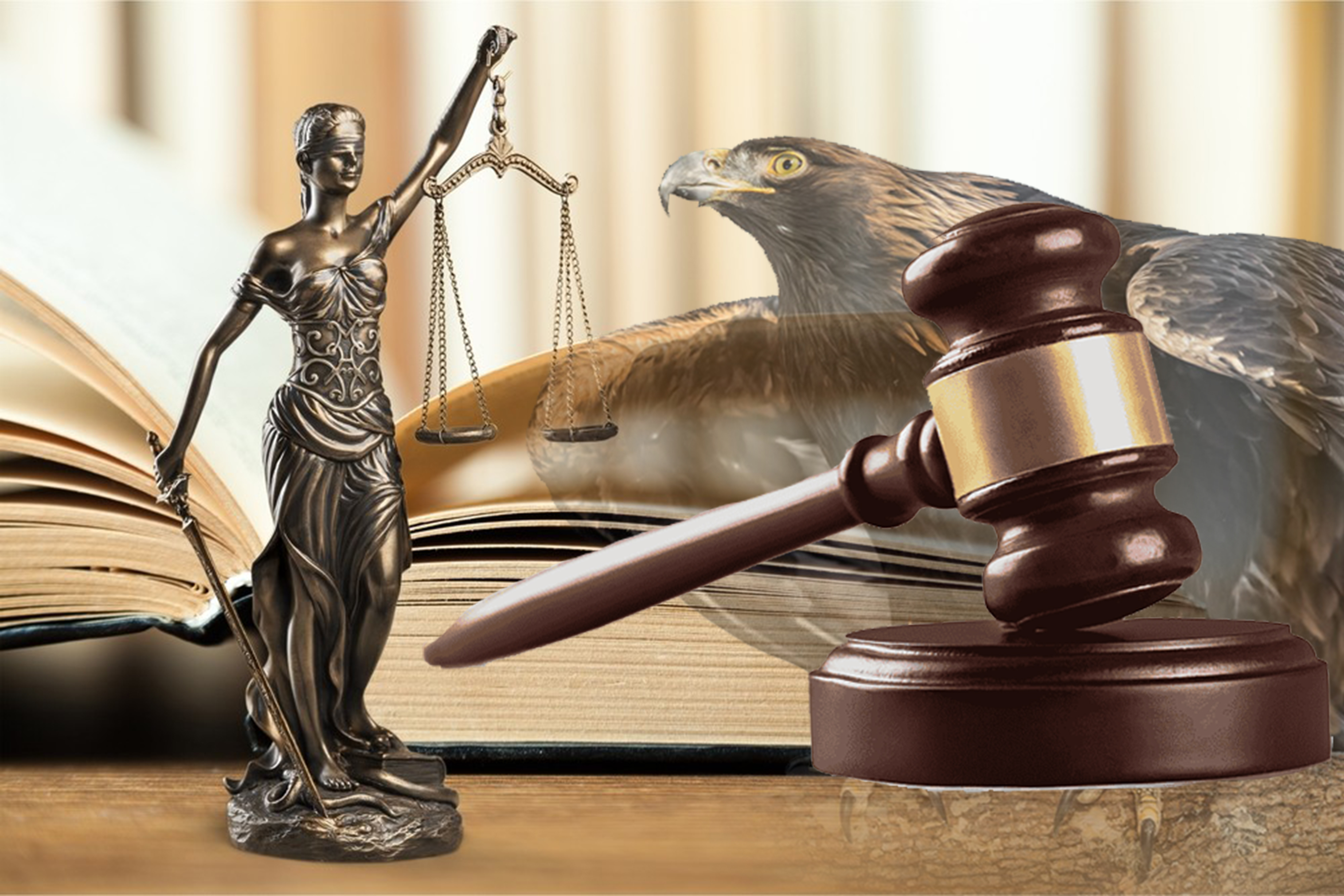 قۇقىق جۇيەسىن قايتسەك قازاقشالايمىز؟