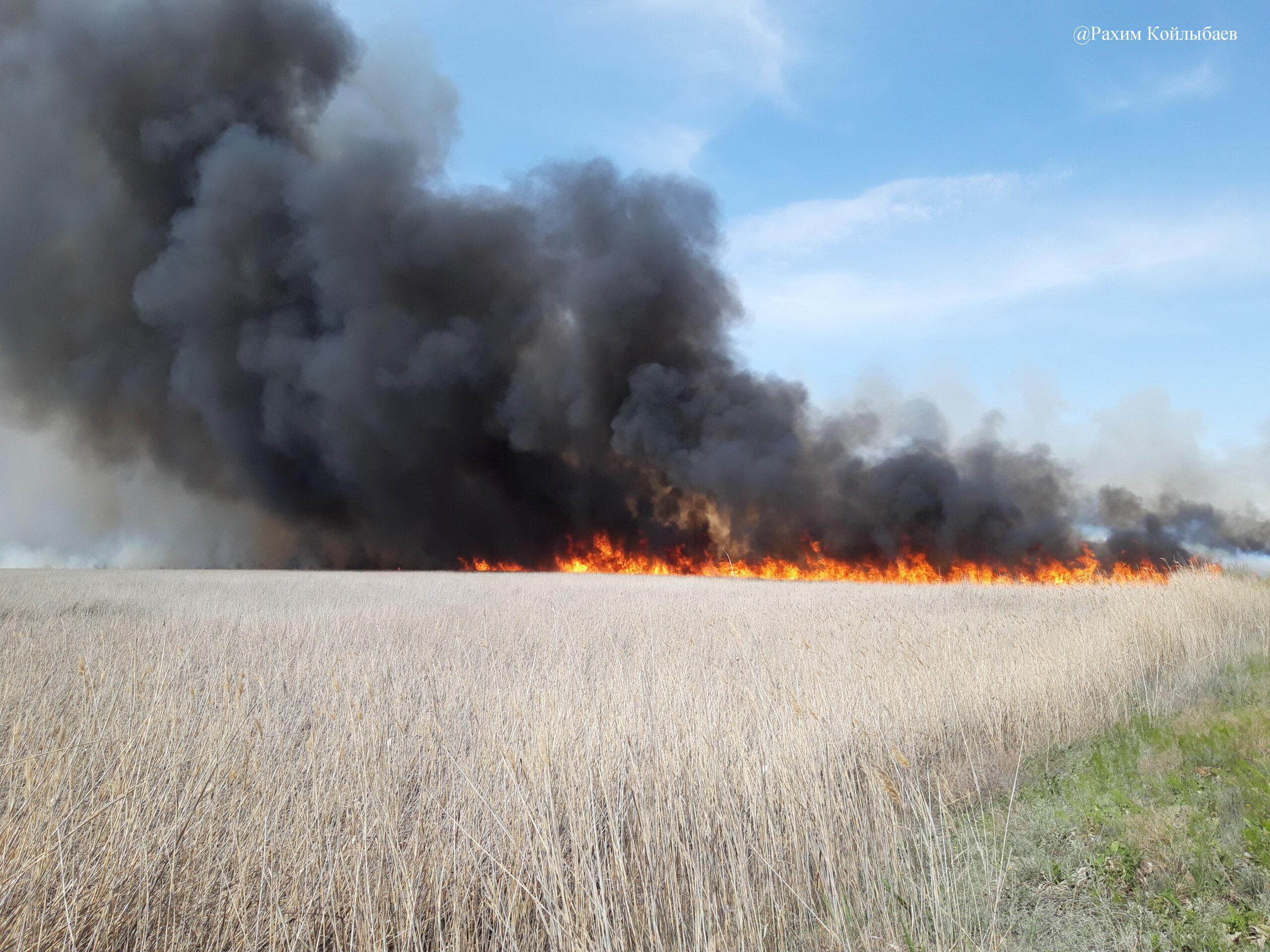 تابيعاتقا جاسالعان تاعىلىق