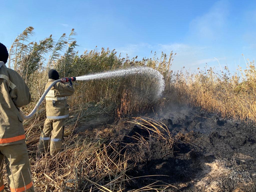 كاسپي جاعالاۋىنداعى قامىس ورتىنە تىكۇشاقپەن 33 مارتە سۋ شاشىلدى