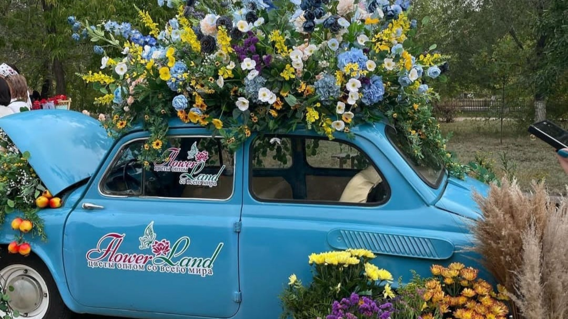 جۇپار شاشقان الۋان گۇل