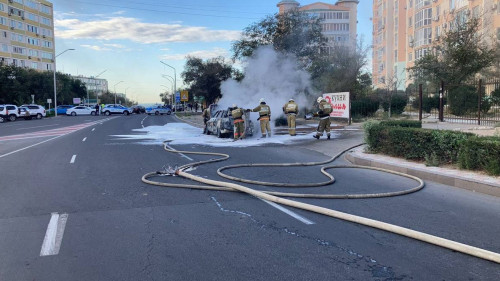 اقتاۋدا جول بويىندا كولىك ورتەندى