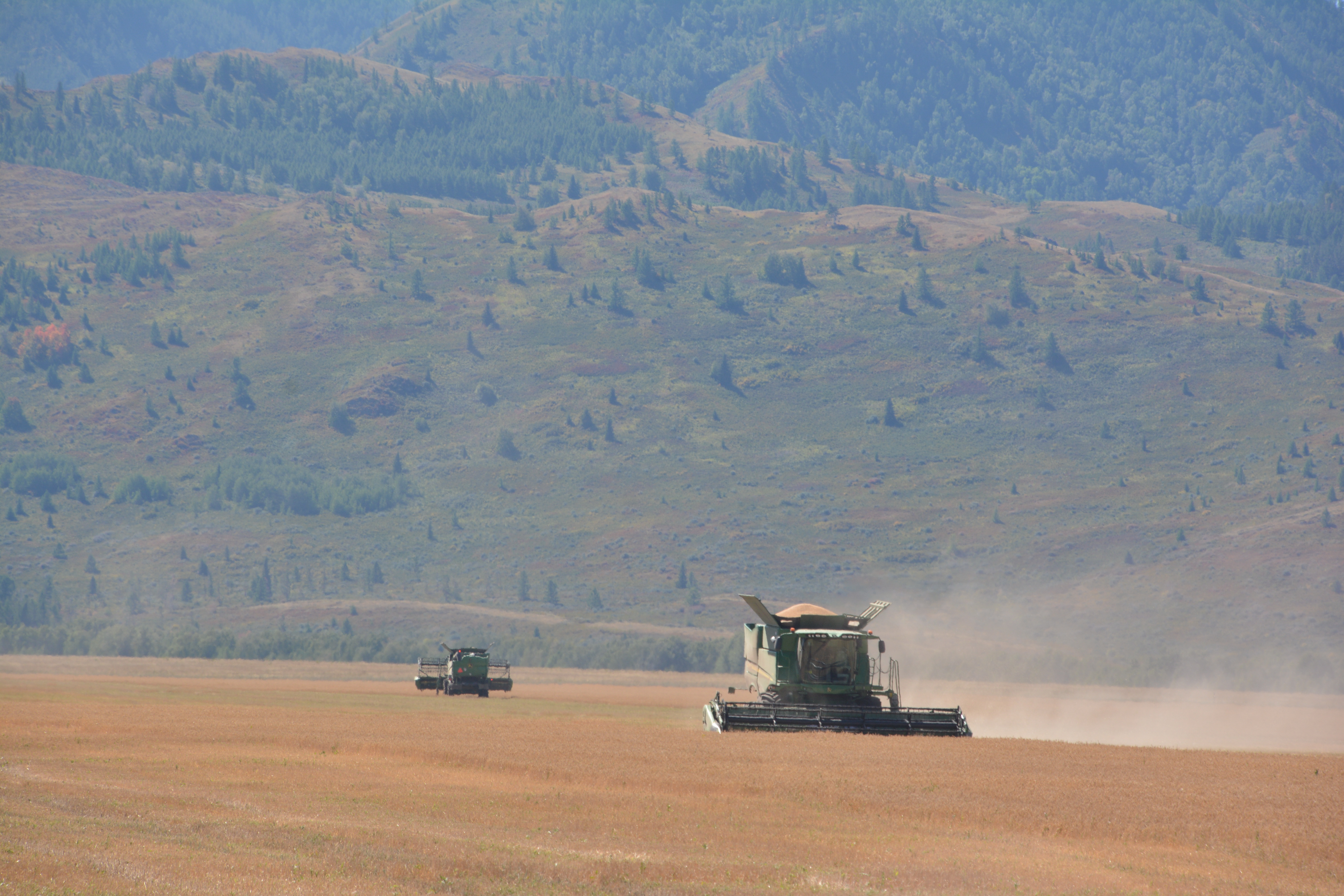 جيىن-تەرىم ويداعىداي جۇرگىزىلىپ جاتىر