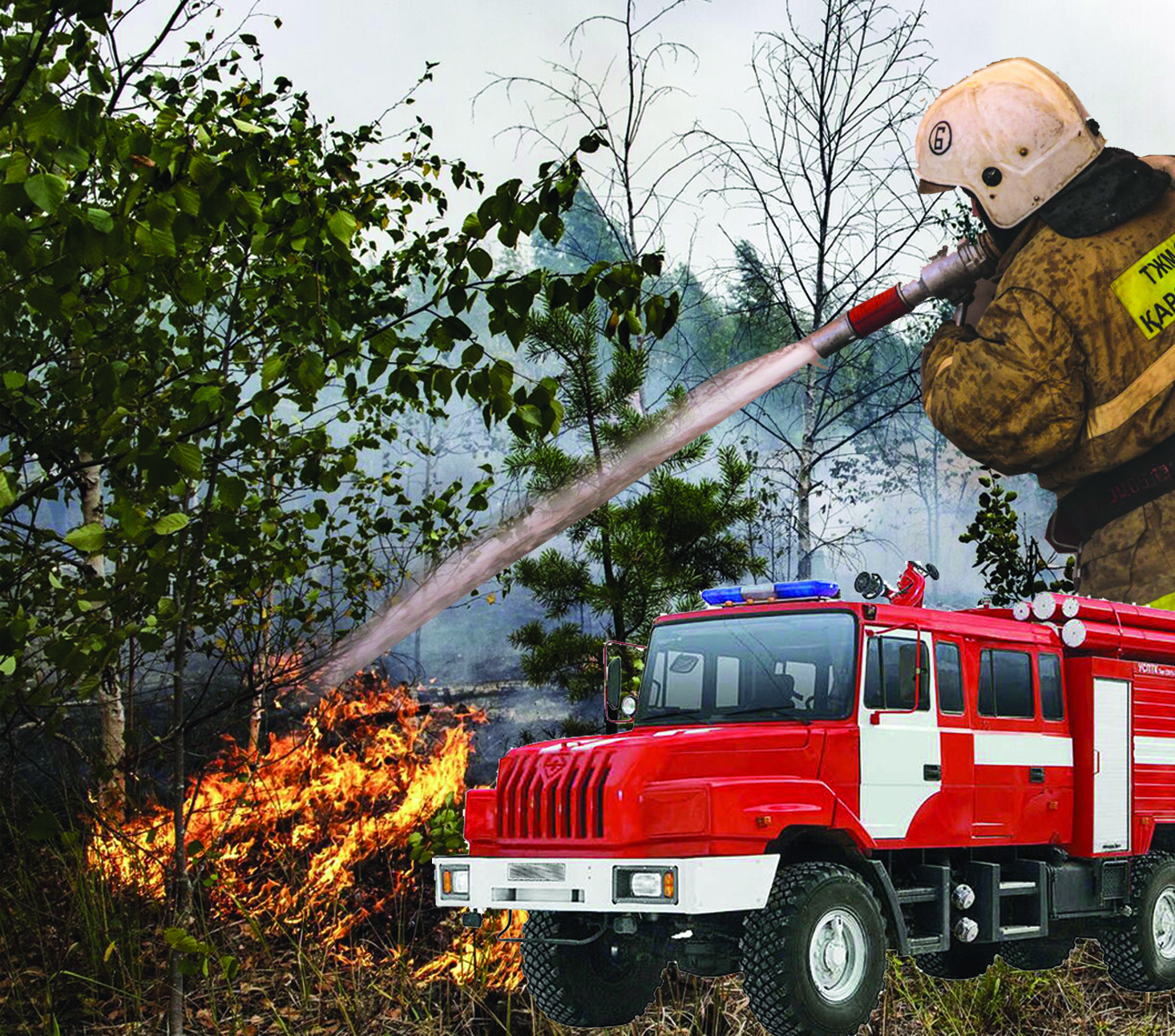 ورماننىڭ سورى – ءورت