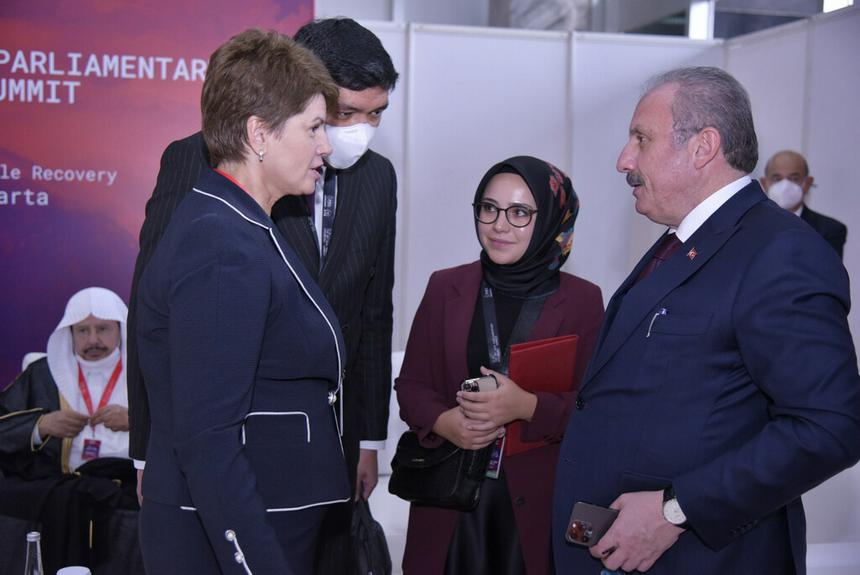 VIII سامميتكە قاتىستى