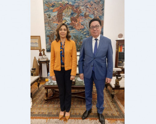 مىسىردا سۇلتان بەيبارىستىڭ 800 جىلدىق مەرەيتويى وتەدى