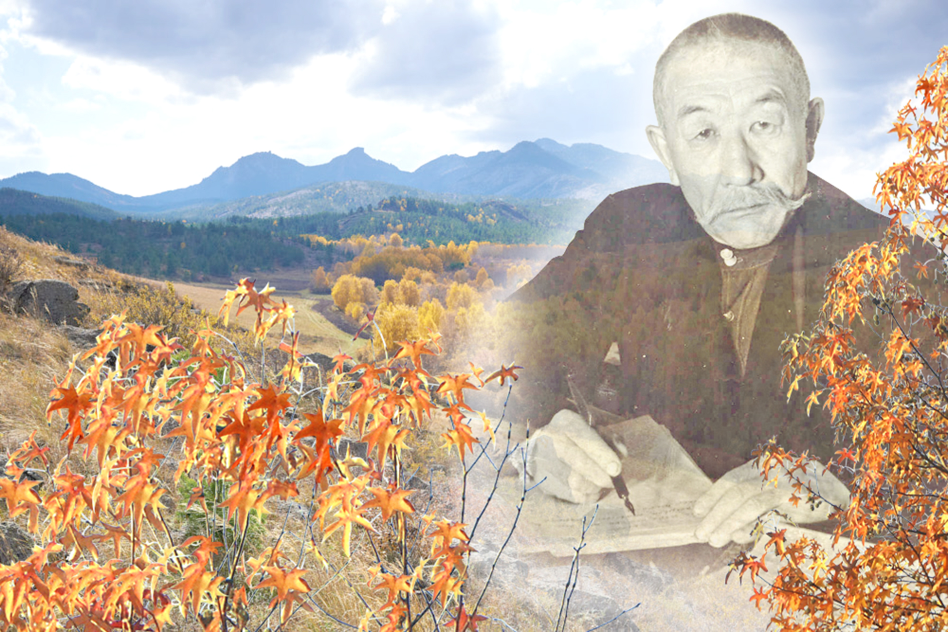 قاسيەتىڭنەن اينالدىم, قارقارالى...