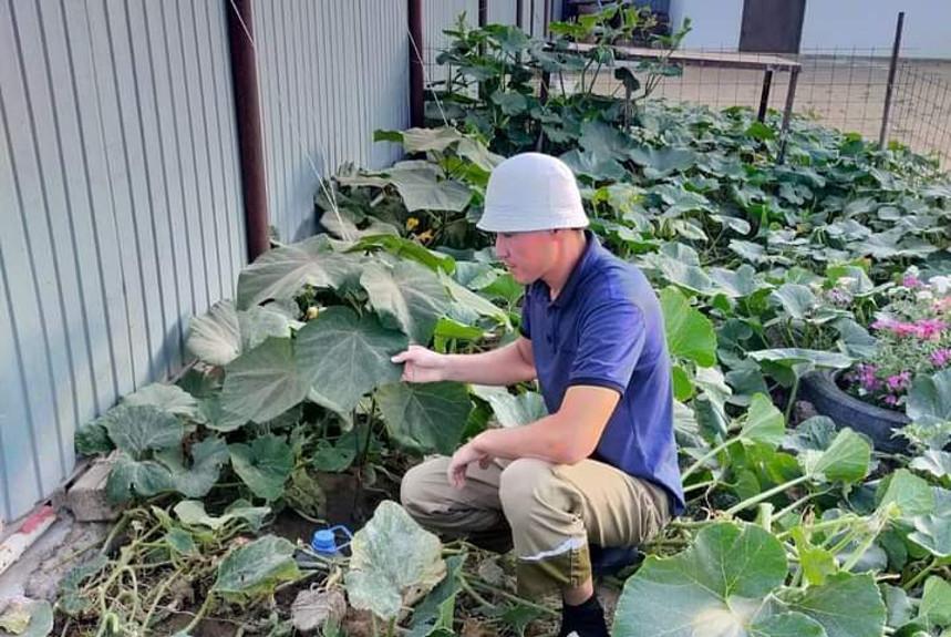 قىزىل قۇرتتىڭ پايداسى