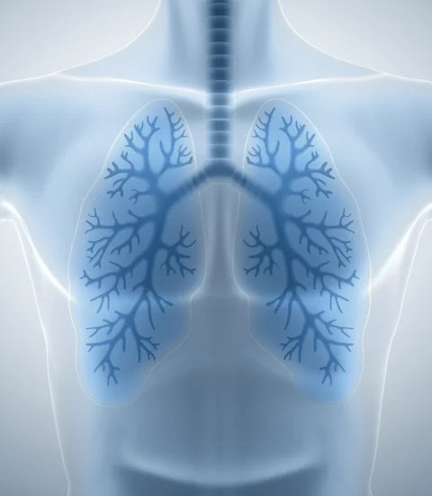 بۇگىن - دۇنيەجۇزىلىك سپيرومەتريا جانە وكپە ساۋلىعى كۇنى