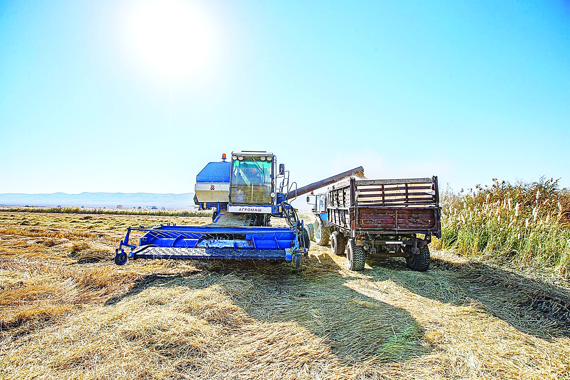 قاراتالدا كۇرىش بىتىك شىقتى