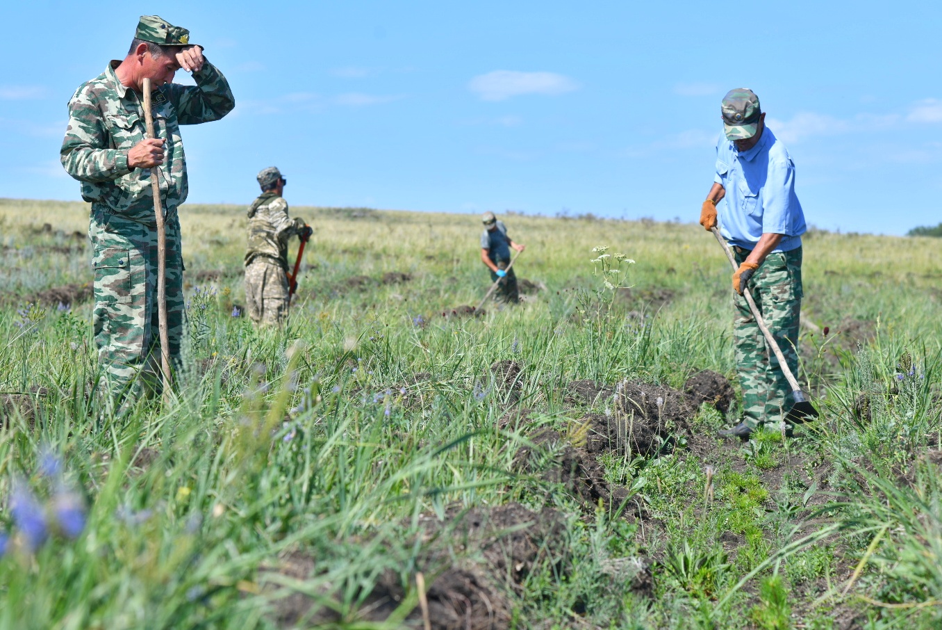 جاسىل ورمانىمىز جايقالسىن دەسەك...