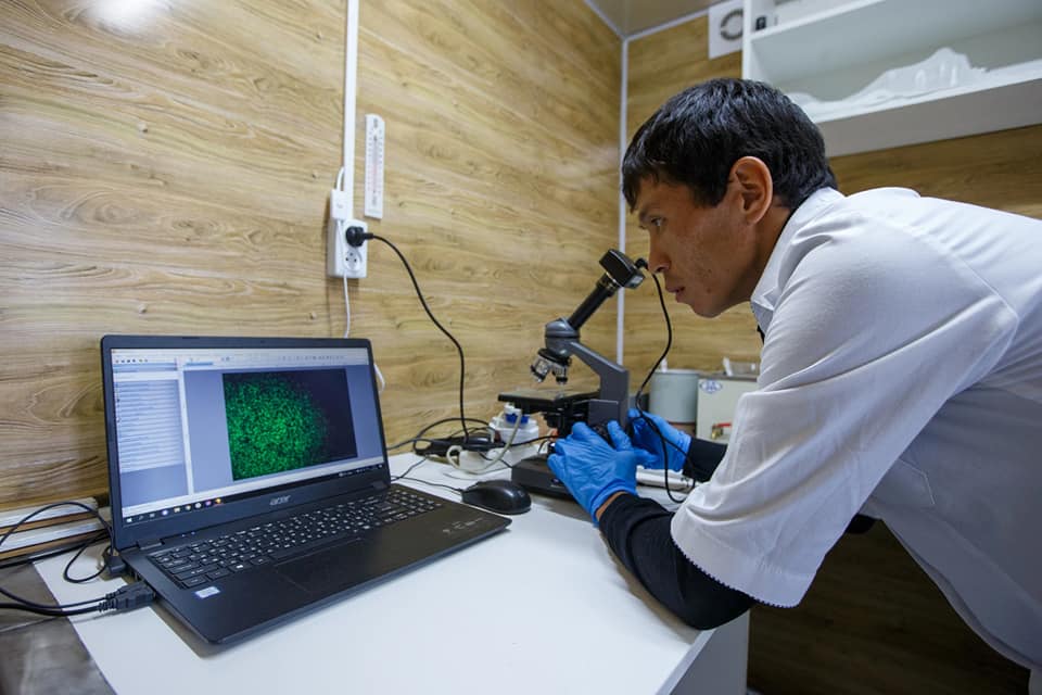 ونەركاسىپ ءورىسى