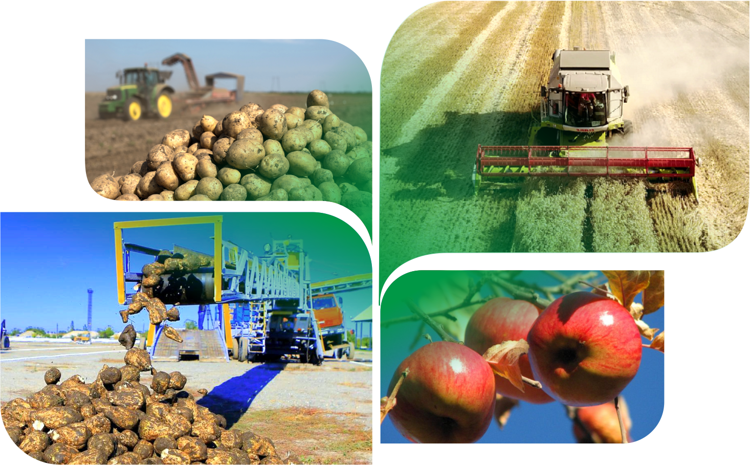 قازان اۋزى جوعارى