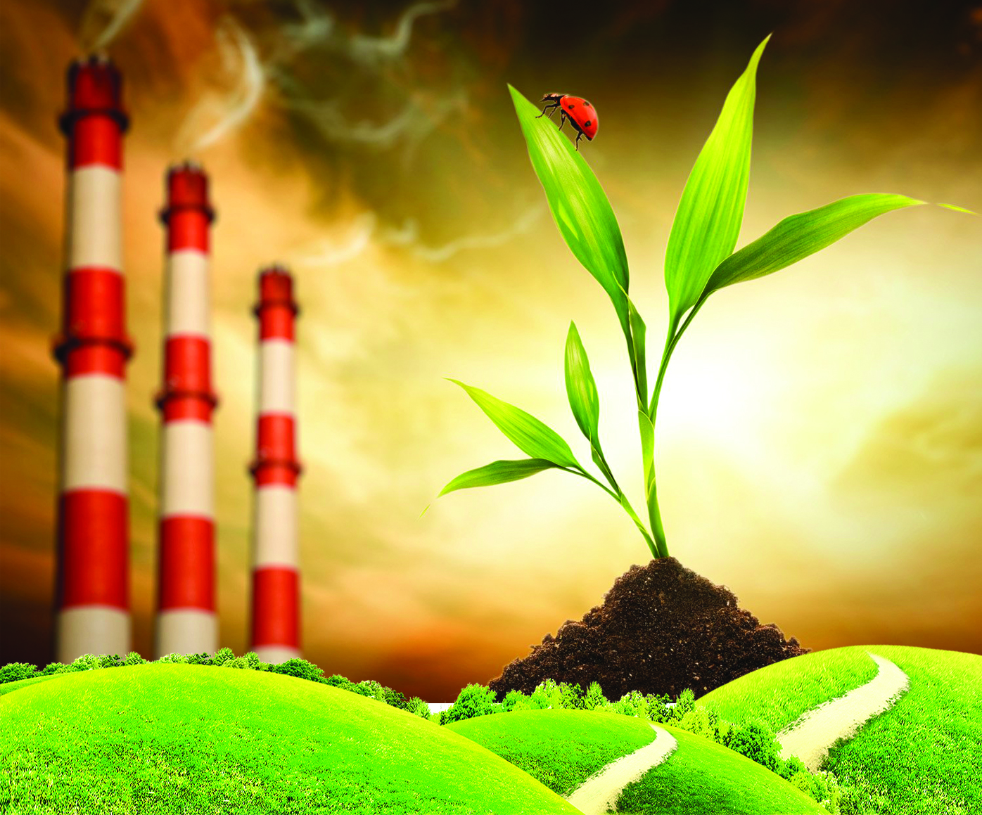 قورشاعان ورتانى ساقتاۋ – قولىمىزدا