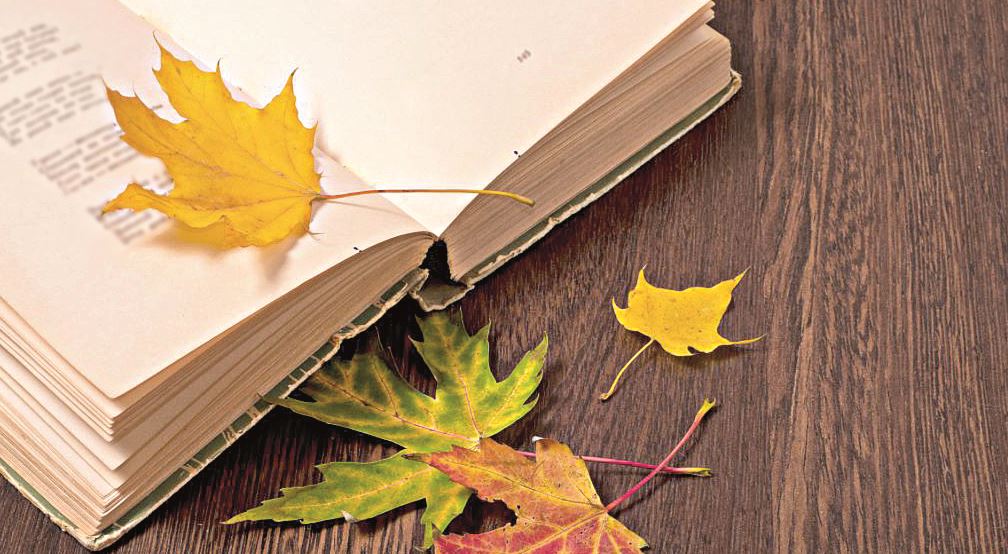 جىلىكتىڭ مايىنداي جىرلار