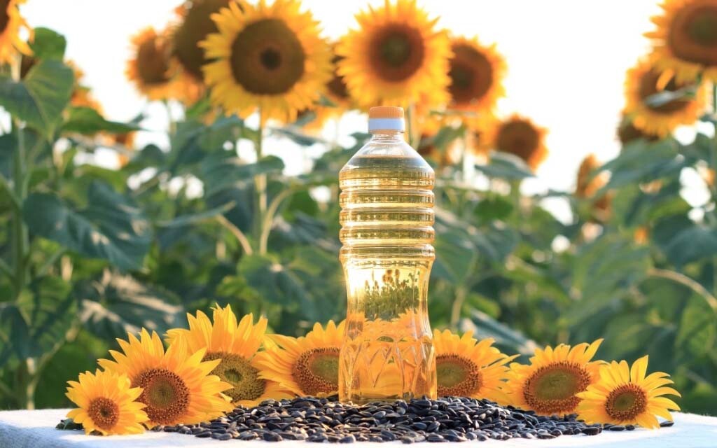 كۇنباعىس مايىنىڭ قۇنىن ءوسىرۋ تۋرالى مەموراندۋم