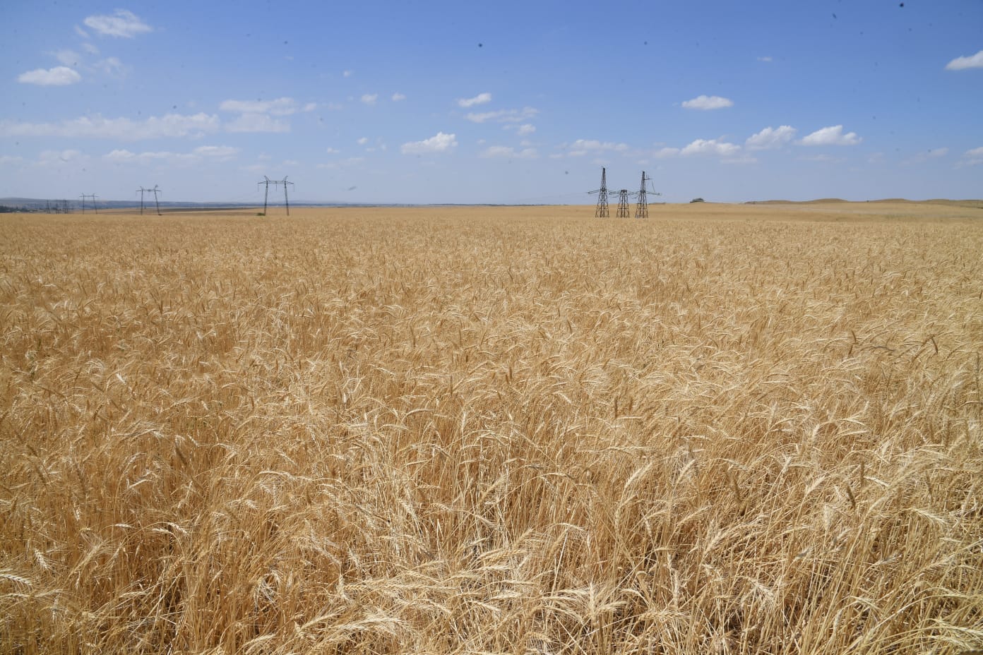 جەرگە قولى جەتكەن جۇرت...