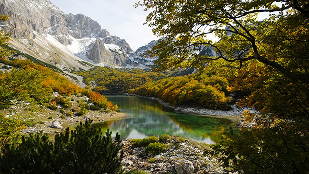 بالقان تۇبەگىمەن دە بايلانىسىمىز مىقتى