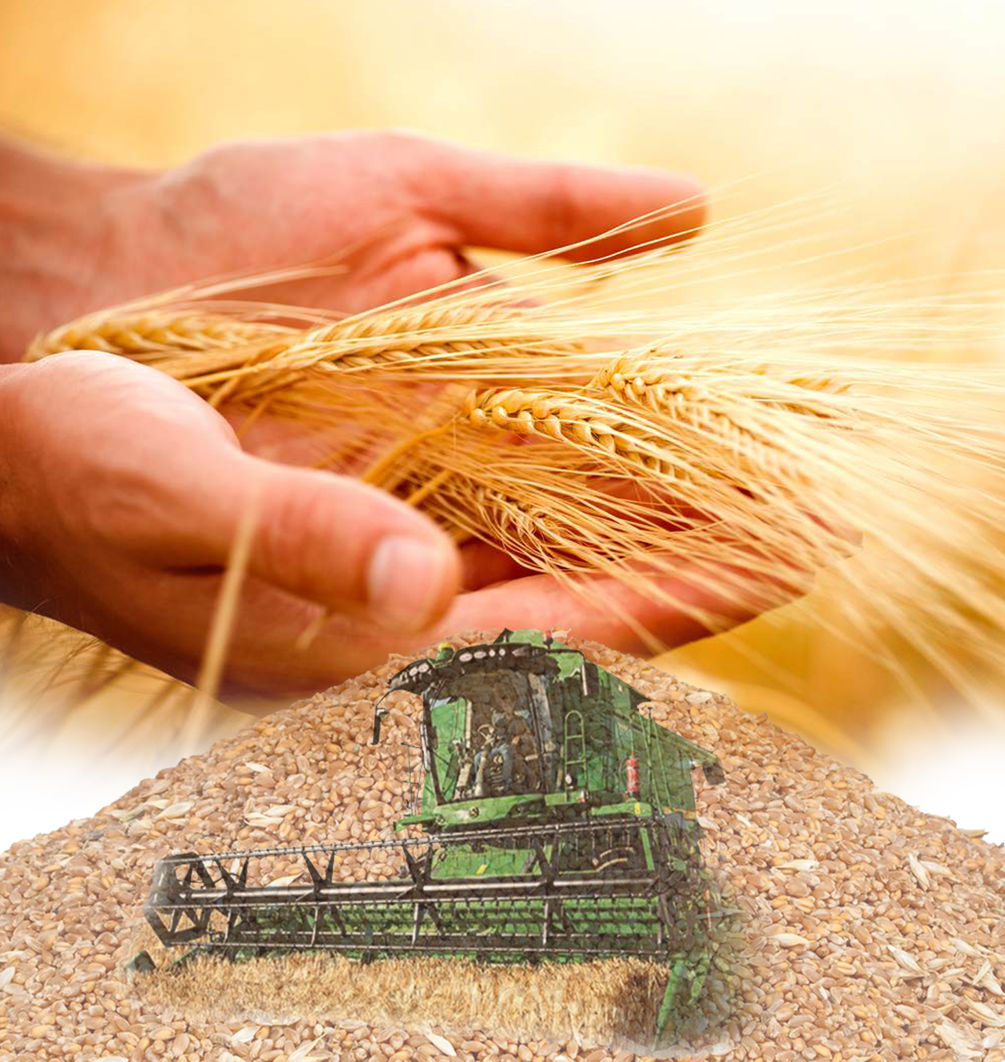 بيداي داقىلى قانشالىقتى ءتيىمدى؟