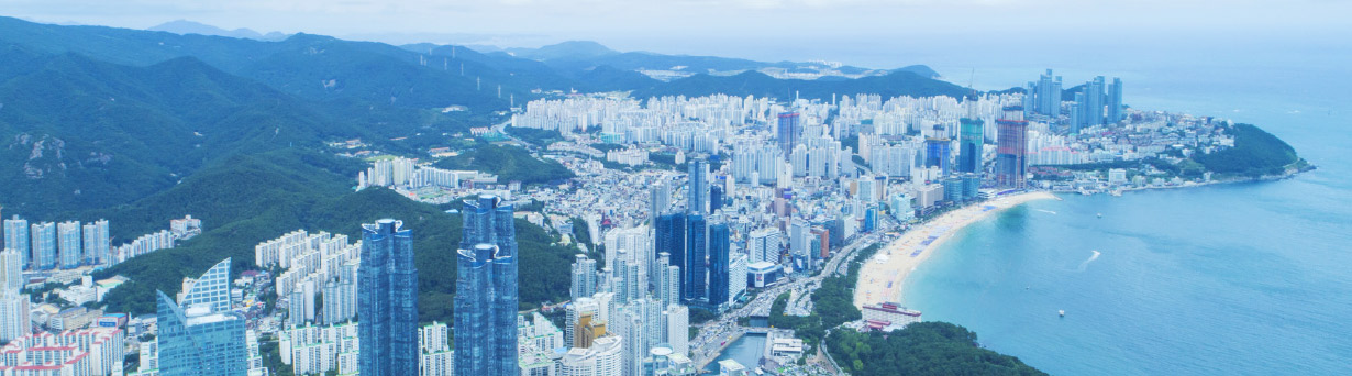 تاڭعى شىق ەلىنىڭ تالعامى