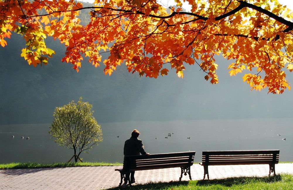 «قالعىپ كەتپە, قازاقى قاعاناتىم!»